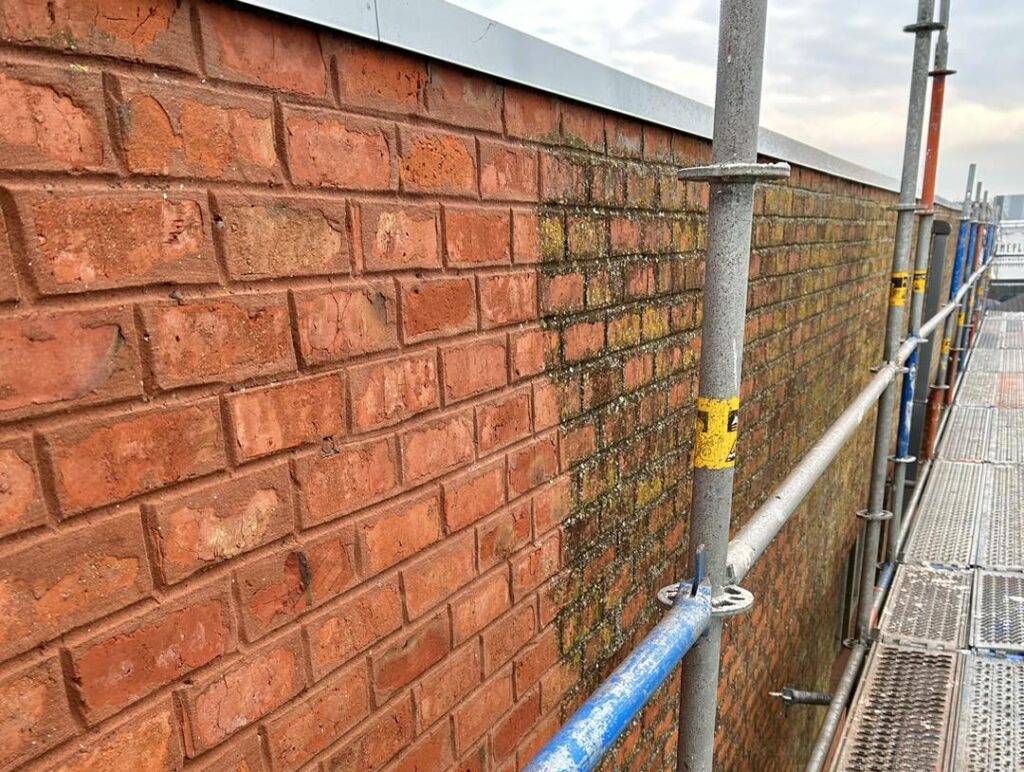 Ontmossen Geert Viaene